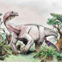 Güney Afrika'da yeni dinozor türü keşfedildi