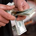 Dolar haftaya düşüşle başladı