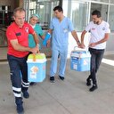 Şehit polisin organları bağışlandı