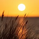 Korkutan uyarı: 1.5 derecelik kabus senaryosu