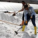 Dünyaca ünlü kulüpler Kırıkkale'de üretilen tuz için sıraya girdi