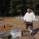 'Bal rekoltesi düştü arılar parazit tehlikesi altında'