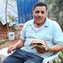 Savaştan kurtardığı onlarca kaplumbağaya evini açtı