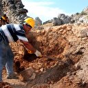 2 bin 200 yıllık tarih otların arasından çıktı