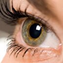 Kök hücrelerden göz retinası üretildi