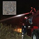 Yangında ortaya çıkan oyuncak kobra yılanı korkuttu