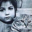 Sahibini mahkemede ceza almaktan kurtaran kedi