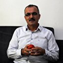 Pazardan aldığı domatesten yumurta çıktı