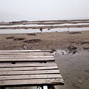 Eğirdir Gölü'nde endişelendiren görüntü