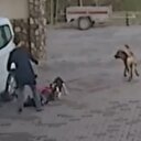 Bir sokak köpeği dehşeti daha: Anne ve kız zor kurtuldu!