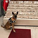 Van'da otomobilin bagajından 51 kilo eroin çıktı