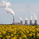 Yeni bir tütün: Hava kirliliği