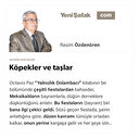 Köpekler ve taşlar