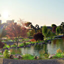 'Her ilimizde en az bir tane Millet Bahçesi yapacağız'