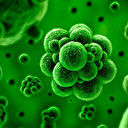 Antibiyotiklere direnç oranında Türkiye ilk sırada