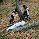 Kestiği ağaç yaşlı adamın ölümüne neden oldu