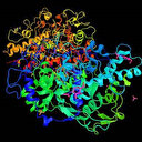 Türk bilim insanları gıda morfinlerini parçalayan enzim üretti