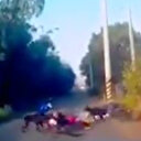 Sokak köpeği dehşeti kamerada