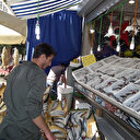 Denizden kasa kasa çıktı, fiyatı 25 liraya düştü