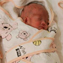 Genetiği değiştirilen bebeklerle ilgili soruşturma başlatıldı