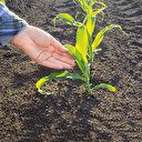 Üretİcİye para tüketiciye sağlık