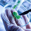 'Biyoteknolojide 15 yılda ilk 10 ülke arasına gireceğiz'