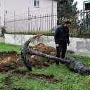 Balıkçının ağına 18'inci yüzyıla ait çapa takıldı görenler şaşkına uğradı