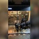 8 Fransız polisi yakaladığı göstericiyi öldüresiye dövdü