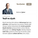 Yeşil ve siyah