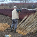 30 milyon dolar kazandırıyor