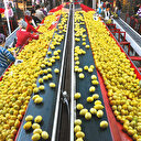 Tarımsal hasılada lideriz