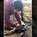 Manisa'da şoke eden olay: Burunsuz çenesiz ve tek gözlü