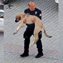 Polisten insanlık dersi