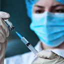 Bilim adamları yerli kene aşışı için bir araya gelecek