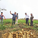 Çiftçiye 2,2 milyar liralık ödeme