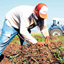 Genetikte banka atılımı