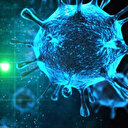 Doğum günü partisinde bulaşan virüs 2 ayda 9 can aldı