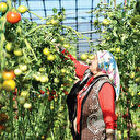3 ihtisas bölgesi 3 bin kişiye iş kapısı olacak