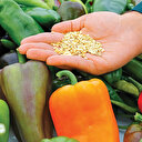 Tarımda teknoloji
atağı