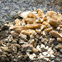 'Gıda atığının yüzde 60'ı engellenebilir'