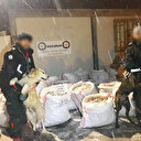 Tek  seferde
1.5 ton eroin