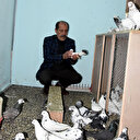 Güvercinlerine 50 bin TL harcıyor