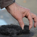 Türkiye'nin yeni cevheri olacak: Sağlık için kullanılacak