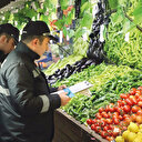 Kim bu dolandırıcılar