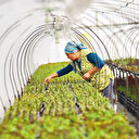 Fiyat istikrarı seferberliği