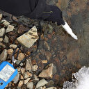 Antarktika Mars araştırmalarına kaynak olacak