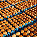 Tavuk yumurtası üretimi aralık ayında 1.7 milyar adet oldu