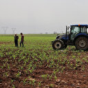Gençler tarımsal üretimle uğraşmak istemiyor