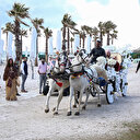Hindistanlı turistlerin Türkiye'ye ilgisi arttı