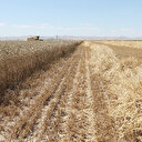 TİM: Ekim alanlarını koruyacak tedbirler acilen alınmalıdır